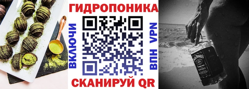 Canna-Cookies марихуана  Куровское 
