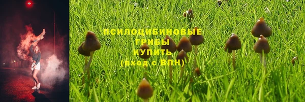 метадон Белокуриха