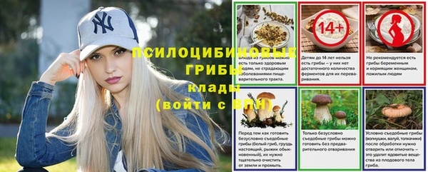 гидра Беломорск