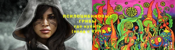 гидра Беломорск
