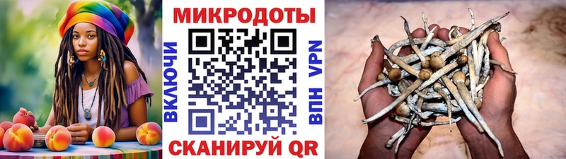 shop наркотические препараты  хочу   Куровское  Псилоцибиновые грибы прущие грибы  ОМГ ОМГ зеркало 